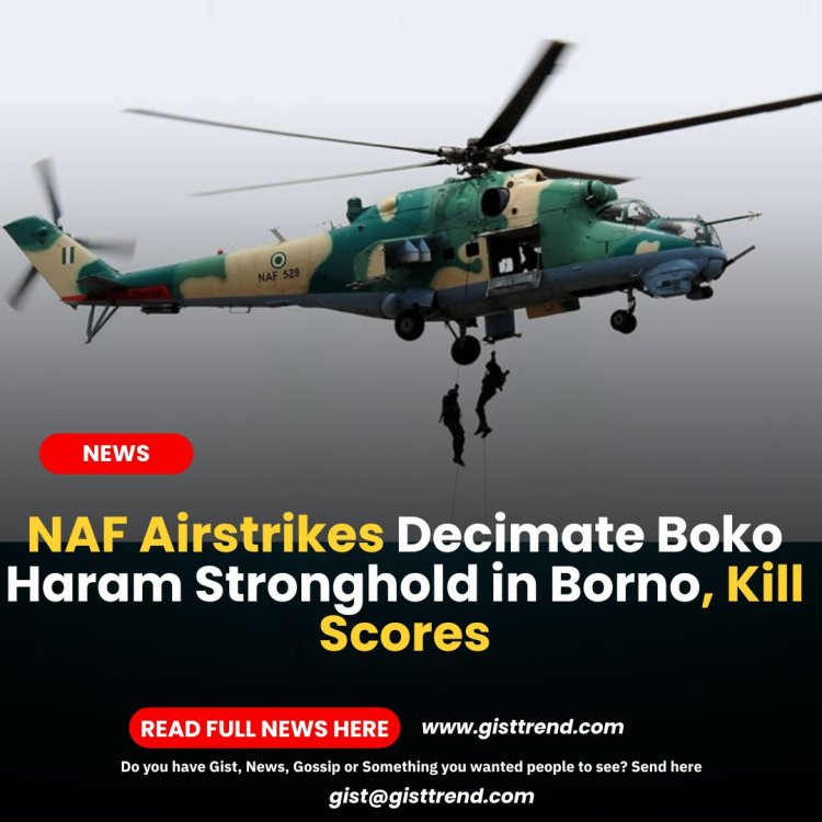 NAF Airstrikes Decimate Boko Haram Stronghold in Borno, Kill Scores
