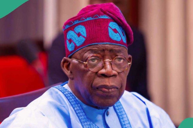 Why Tinubu should prioritise oil drilling in northern Nigeria, governors reveal