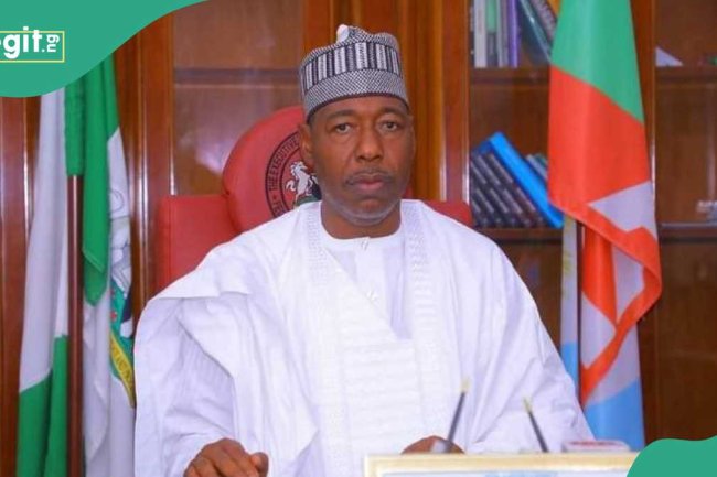 Boko Haram kills 63 in Darajamal as Zulum calls for stronger security