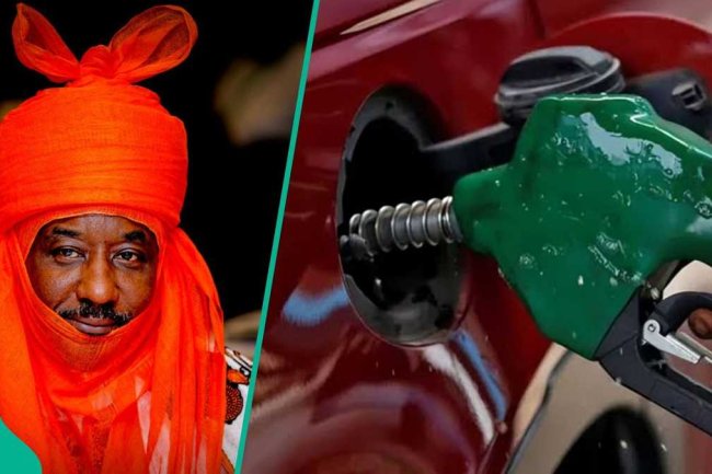 Breaking: Former CBN governor and powerful northern monarch releases strong statement on subsidy removal