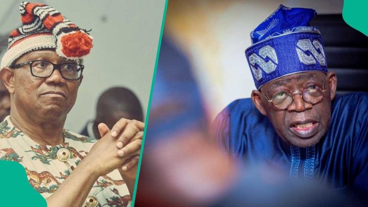 What will happen to Obi and Tinubu in Southeast region in 2027? Former minister makes powerful prediction