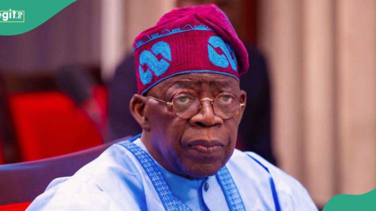 Why Tinubu should prioritise oil drilling in northern Nigeria, governors reveal