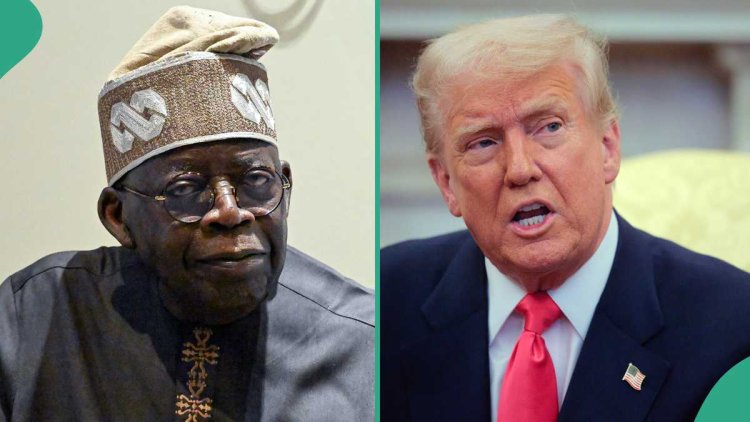 Donald Trump to stop Tinubu's second term bid? Fact emerges