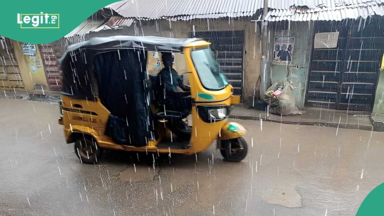 One Day-Weather Alert: NiMet lists states in Nigeria to experience thunderstorms, rain