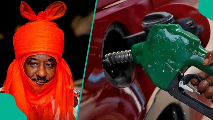 Breaking: Former CBN governor and powerful northern monarch releases strong statement on subsidy removal