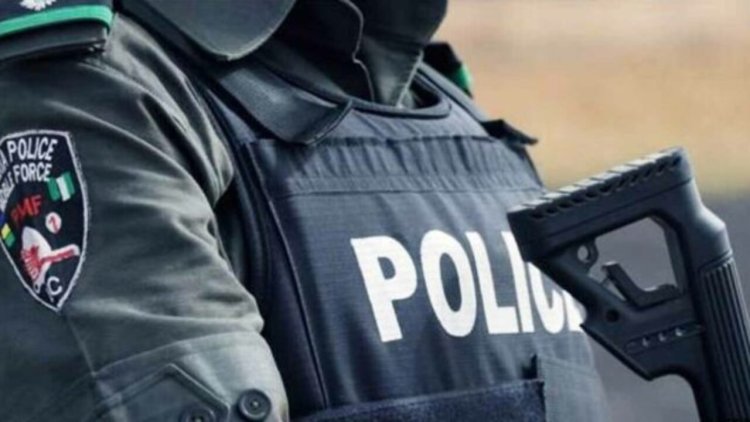Police arrest two IDPs over killing of 72-year-old man in Borno