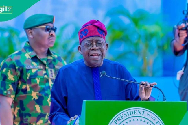 Full list: All loan opportunities under Tinubu govt for Nigerian youths