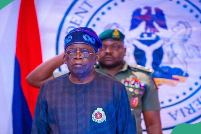 Tinubu exposes how smugglers bleed Africa’s resources dry