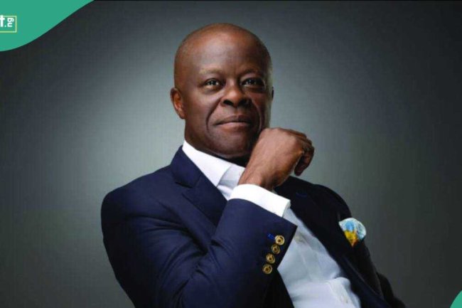 Wale Edun: Journalist releases 'new video' amid whereabouts of sick finance minister