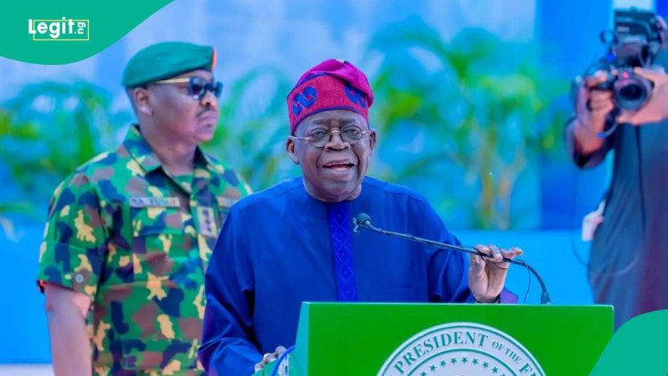 Full list: All loan opportunities under Tinubu govt for Nigerian youths