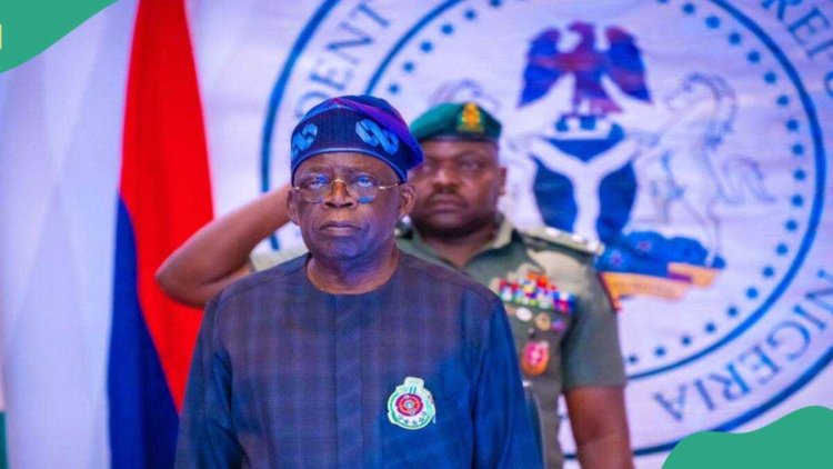 Tinubu exposes how smugglers bleed Africa’s resources dry