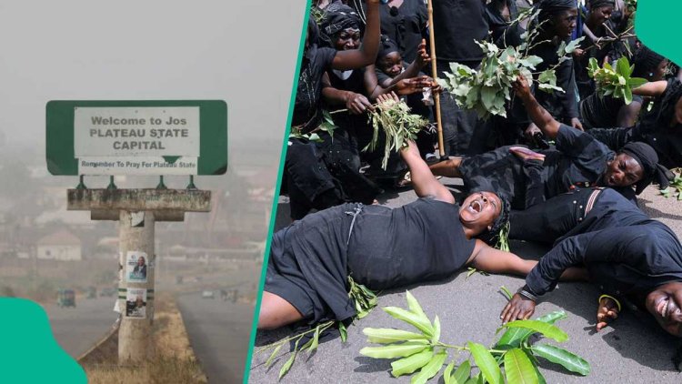 Breaking: Over 10 dead in top northern state in fresh attack as details emerge