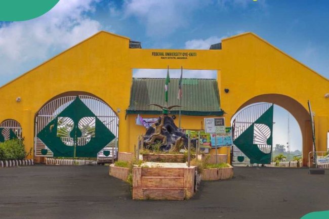 Group urges education minister to act on N387m FUOYE audit report