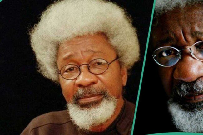 Soyinka drops bombshell, says he is a president, video trends