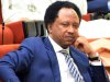 Focus on Nigeria’s problems, not Trump, US – Bakatsine tells Shehu Sani