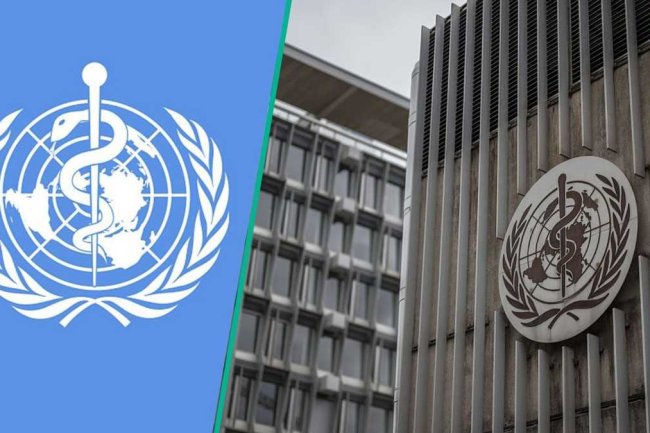 WHO just opened a high-paying job vacancy, here’s how to apply before the deadline