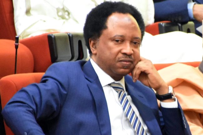Focus on Nigeria’s problems, not Trump, US – Bakatsine tells Shehu Sani