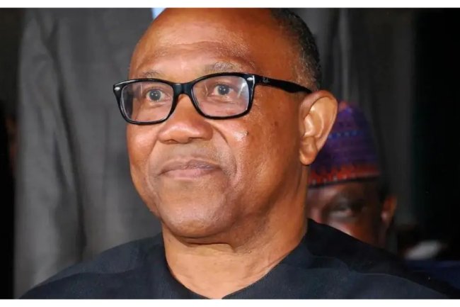 ADC: Why ‘Obidients’ insist on Peter Obi – Ijeh