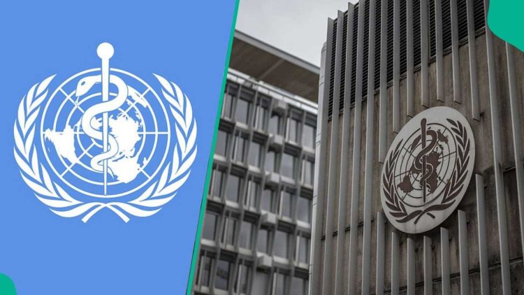 WHO just opened a high-paying job vacancy, here’s how to apply before the deadline