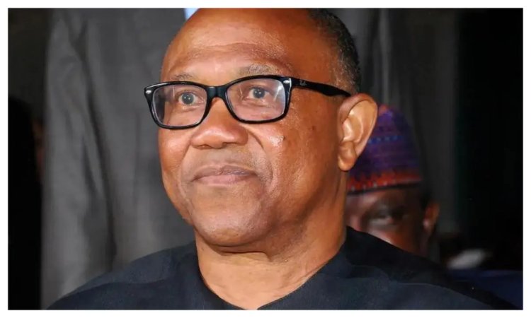 ADC: Why ‘Obidients’ insist on Peter Obi – Ijeh