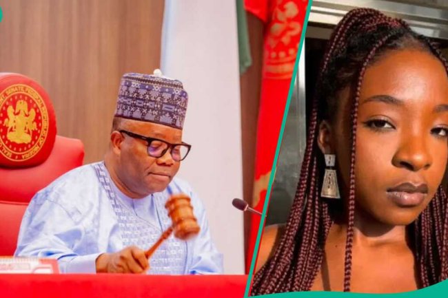 Senate issues urgent directive to hospitals after Ifunanya's death from snake bite