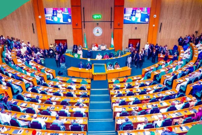 Electoral bill: Deputy spokesperson breaks silence over clash of reps members