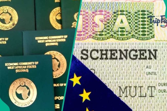You want to Japa: Here are things to avoid when applying for Schengen visa