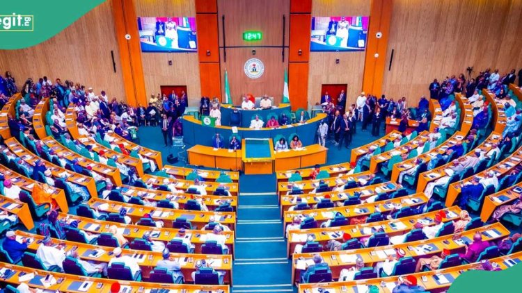 Electoral bill: Deputy spokesperson breaks silence over clash of reps members