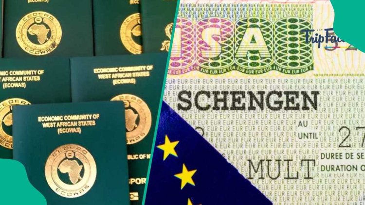 You want to Japa: Here are things to avoid when applying for Schengen visa